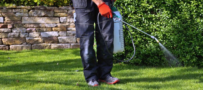 Weed Eating Service Contractor Listings