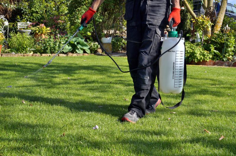 Explore Weed Eating Service Promotions
