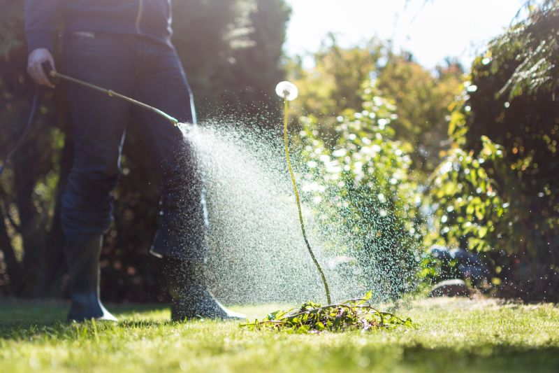 Service Locations for Weed Eating Service