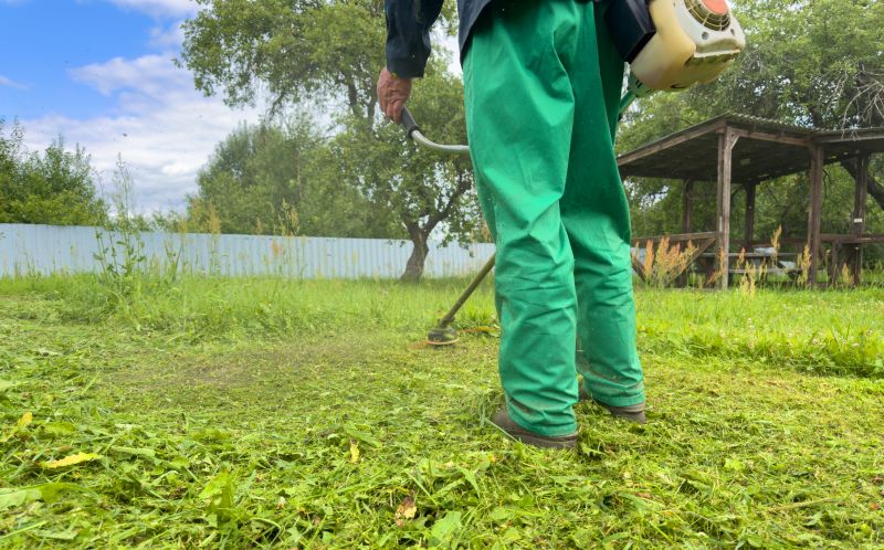 Weed Eating Service