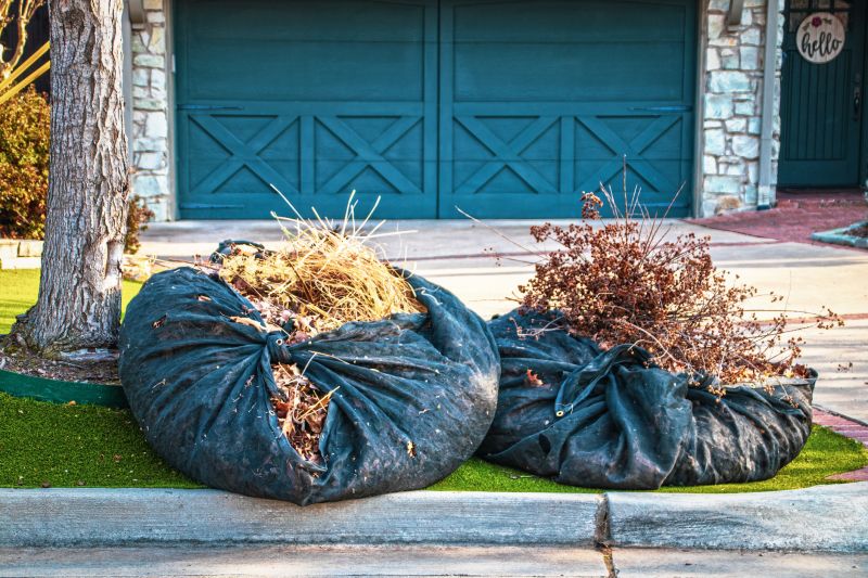 Brush Cleanup Service in Honolulu, HI