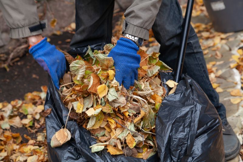 Autumn Yard Cleanup in Progress