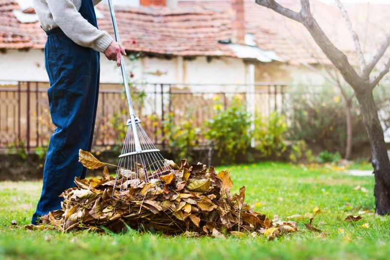 Professional Fall Cleanup Tools