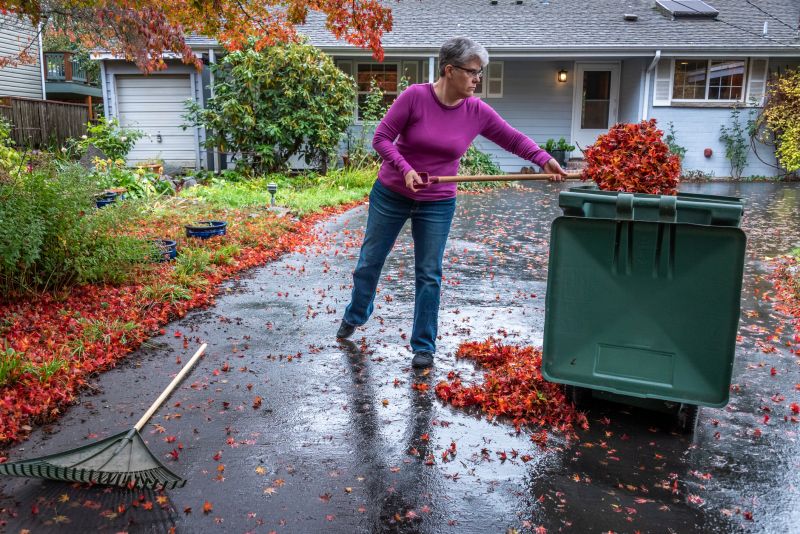 Cleaning Up Debris in the Yard