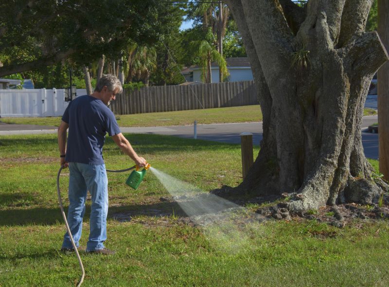 Affordable Weed Eating Service — Cost of Weed Eating Service