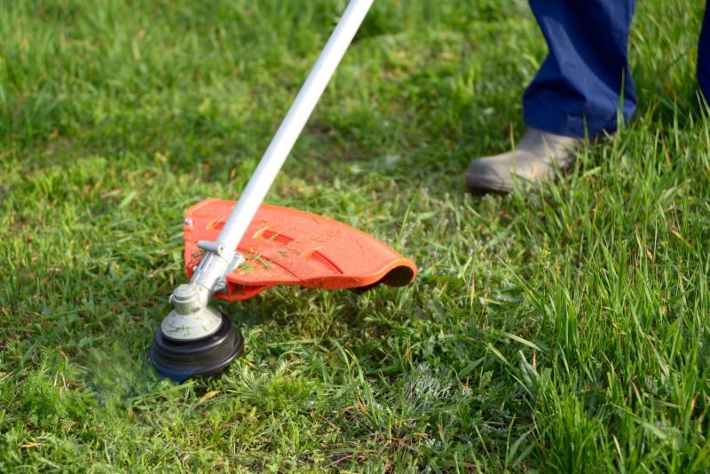Affordable Weed Eating Service — Cost of Weed Eating Service