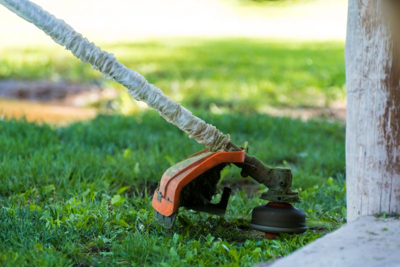 Remove weeds from walkways and areas near structures